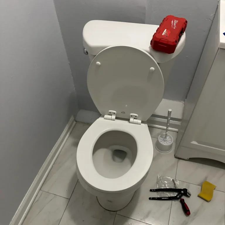 Toilet Installation Services in Chicago