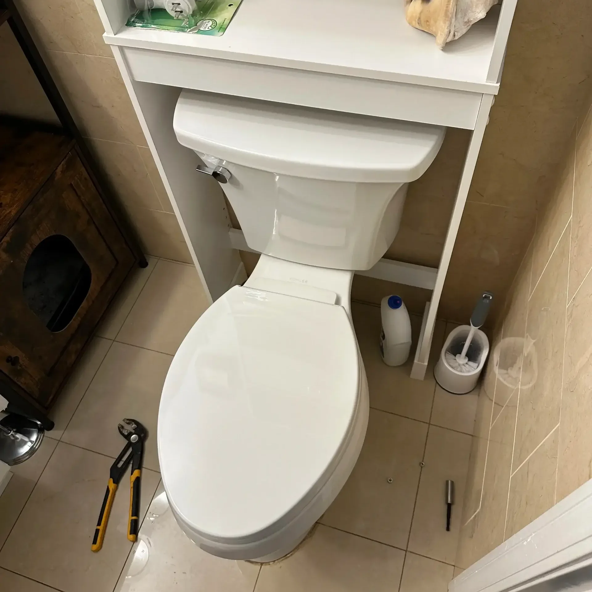 Toilet Installation in Chicago