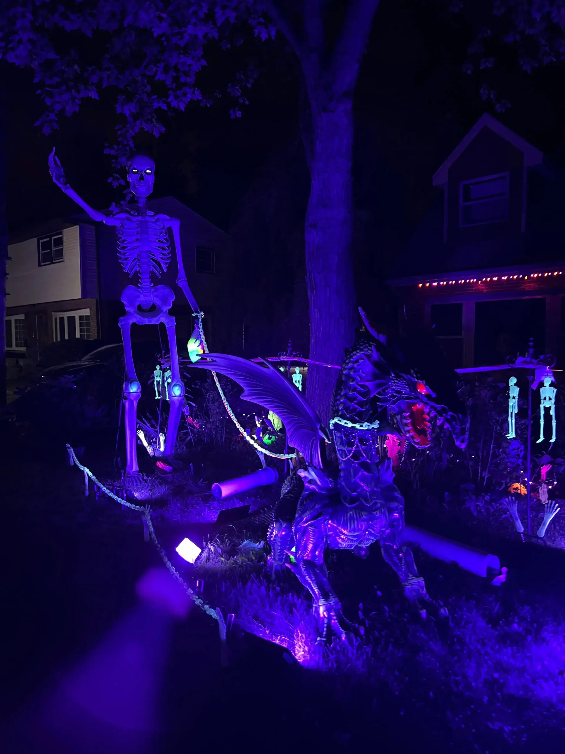 Professional Halloween Decorating Service Chicago - Giant waving skeleton and skeleton dragon prop dramatically illuminated in purple and blue spotlights at night.